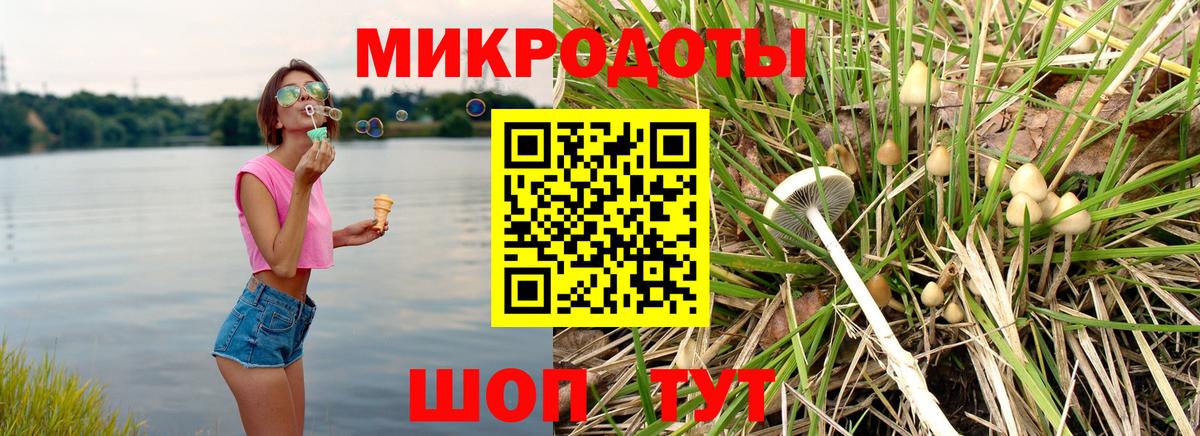 Галлюциногенные грибы Psilocybe Сальск