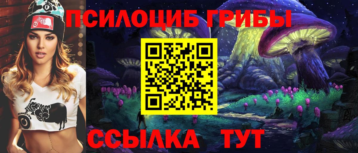 Сальск  Галлюциногенные грибы мицелий  продажа наркотиков  Вход с VPN 